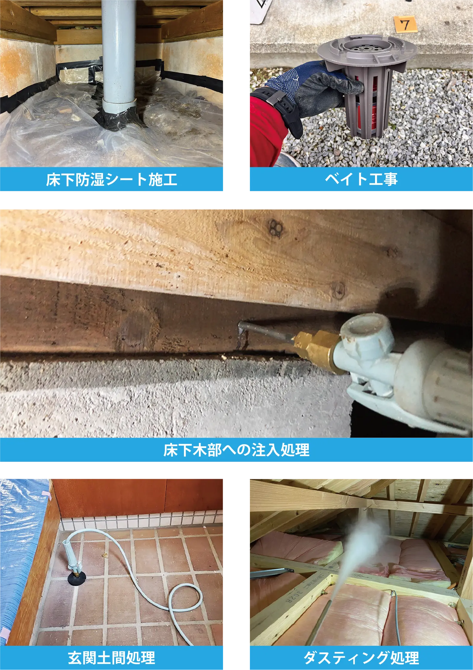 駆除工事もお任せください！