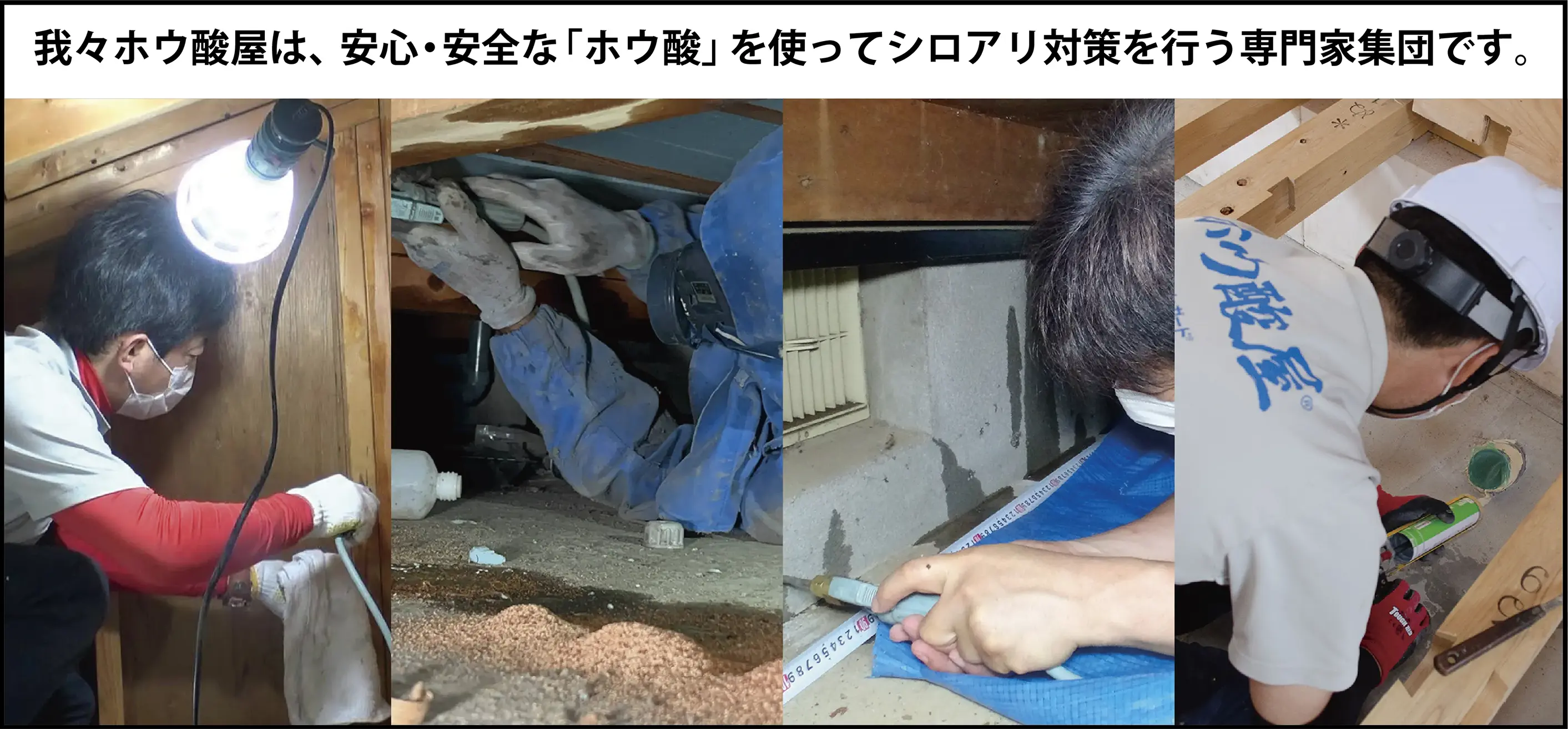 ホウ酸のプロ