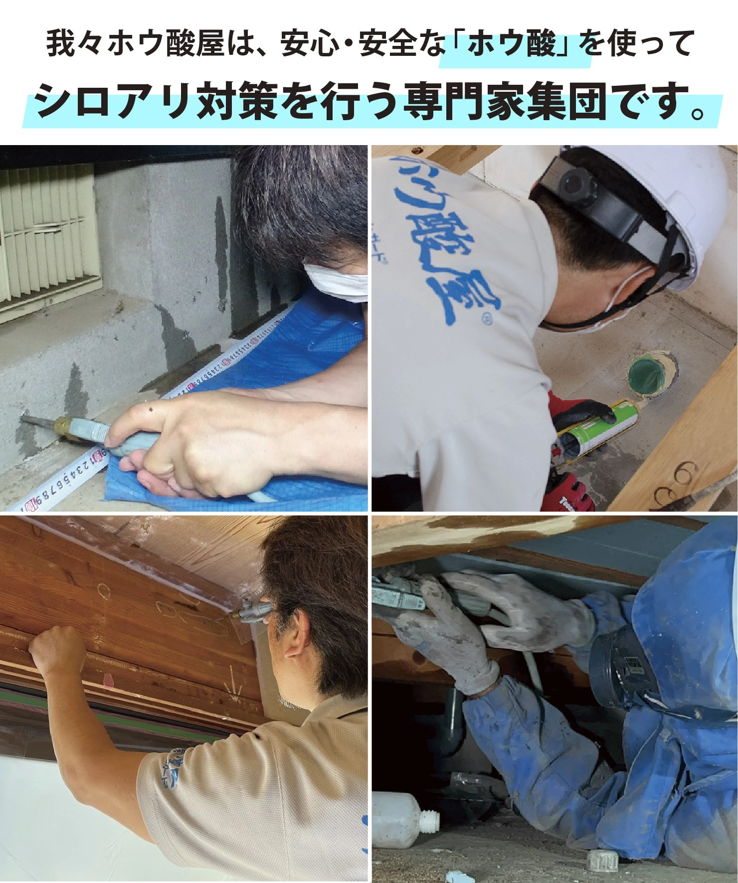 ホウ酸のプロ