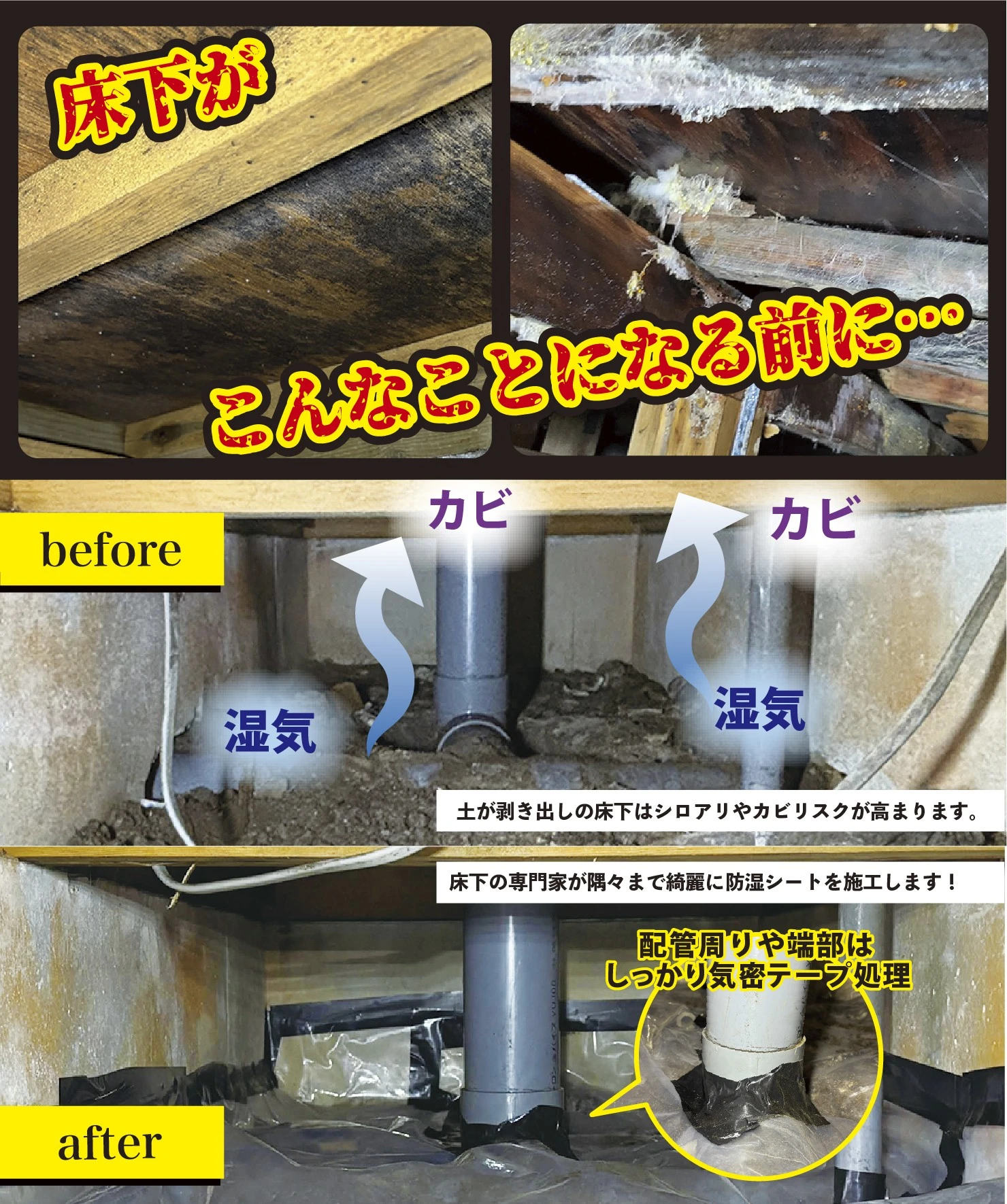 ホウ酸のプロ