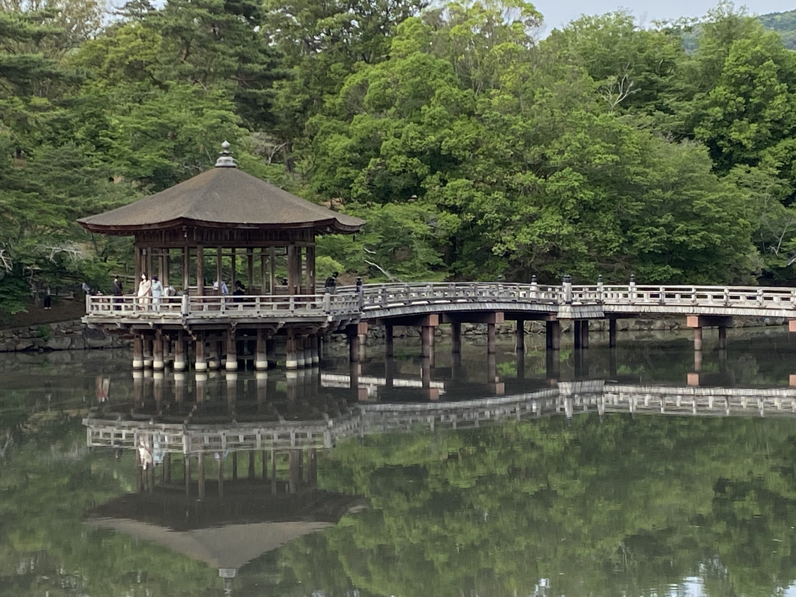 奈良公園は賑わっていました