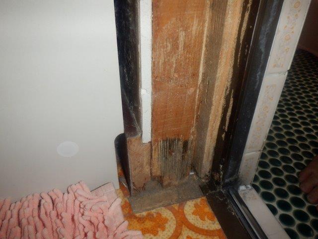 在来工法の浴室はシロアリの被害に遭っている可能性が高いです
