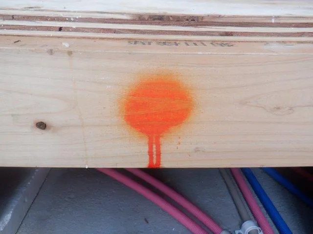 無色透明臭いもしないホウ酸処理の確認方法