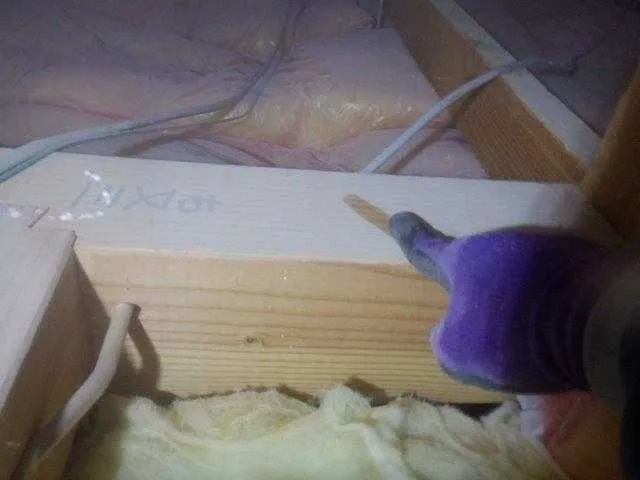 ホウ酸の粉をそのまま散粉する処理方法もあります