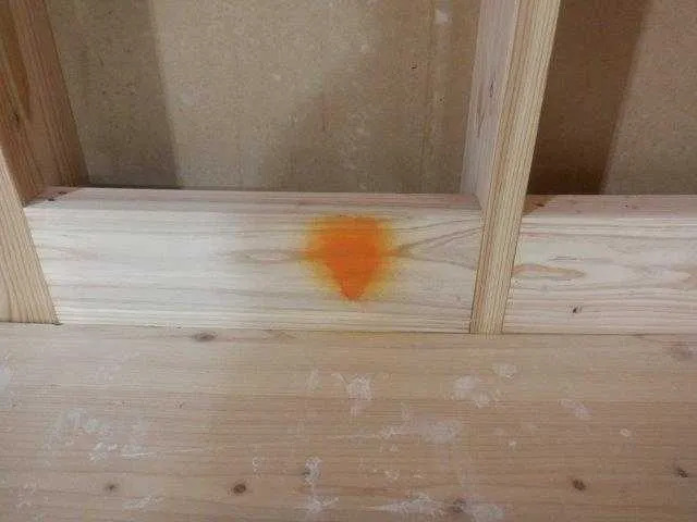 クルクミン反応を利用したホウ酸チェック方法