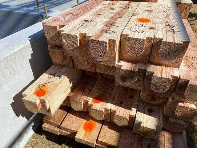 処理したホウ酸が残っているか現場で確認します