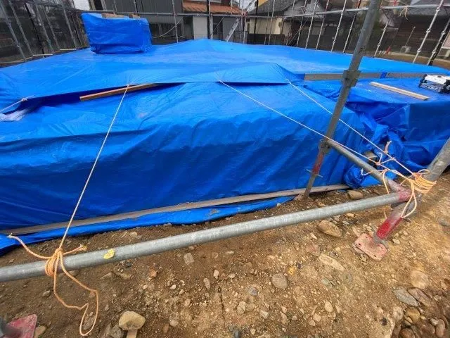 ホウ酸処理は雨対策が大事