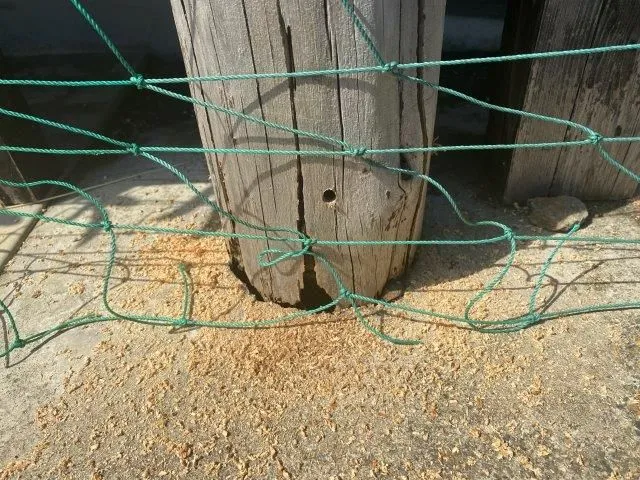木材は非暴露・非接地が原則です