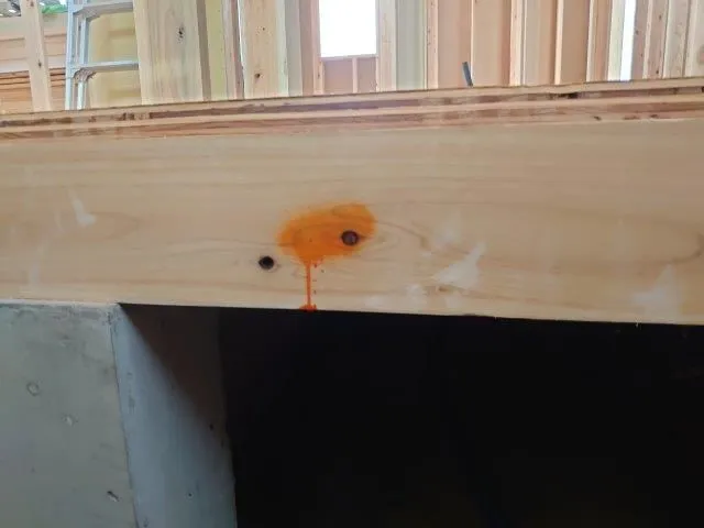ホウ酸が溶脱していないかチェックします
